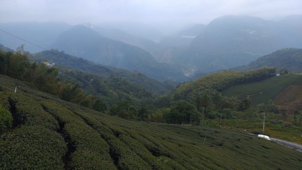 20241026程淨山林7-雲嘉抹茶山大尖二尖山JRJ淨山(雲嘉/登山/JRJ淨山)封面