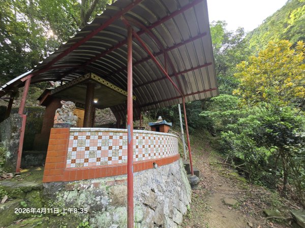 2026-04-11微笑山線：【二格山系】筆架連峰段3034547