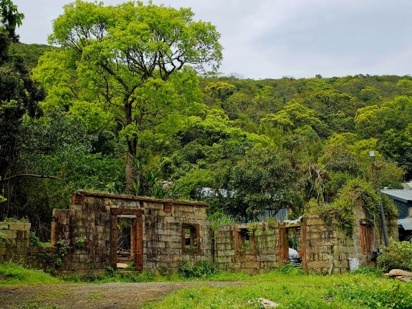 2025年臺北大縱走第四段：風櫃口至中華科大2755996