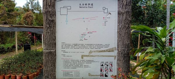 大分林山步道-2022/01/081577916