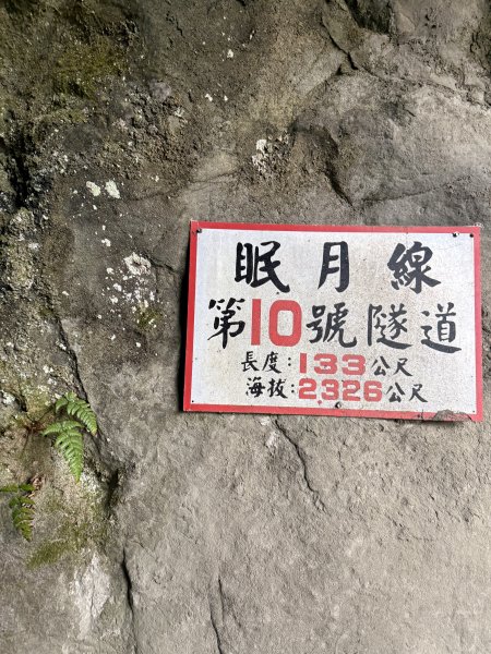 1150531眠月線