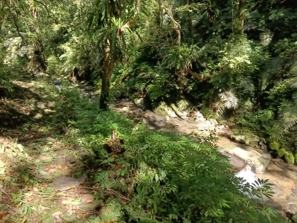 坪林區小粗坑古道+小粗坑山+環山路+楣子寮尖+貴妃池O型2994467
