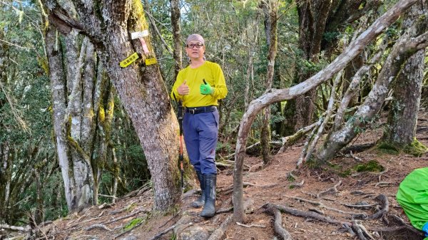 新康五天~戒茂斯進，出瓦拉米2949609