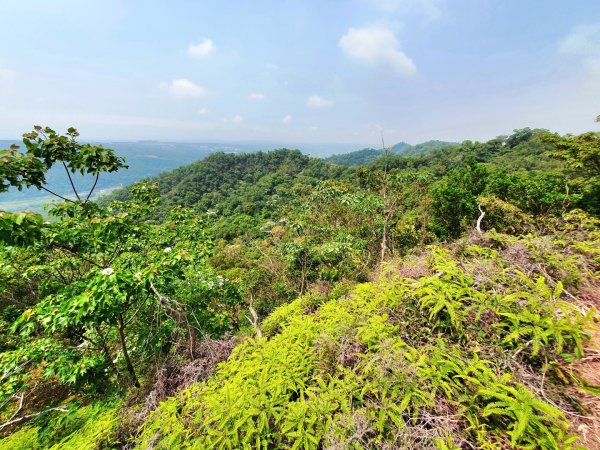 鳶嘴山，醜崠山，長壽山，榛山步道，三員縱走，文林古道，高梘頭山，糖塔山，鐘樓古道1691639