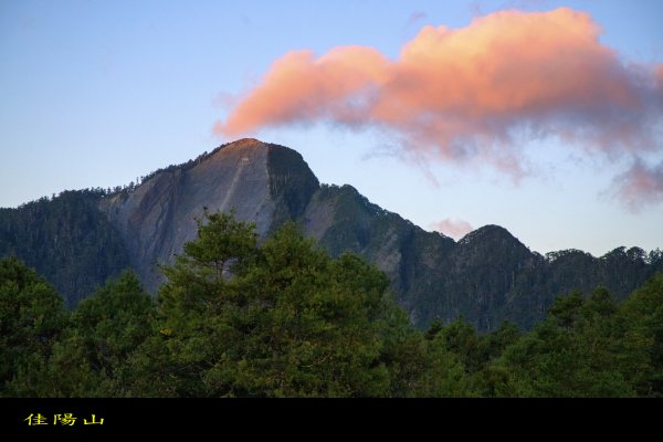 大小劍-油婆蘭全紀錄2674196