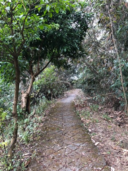 烏山步道北段入口雲山寺走刣牛湖山往返507923