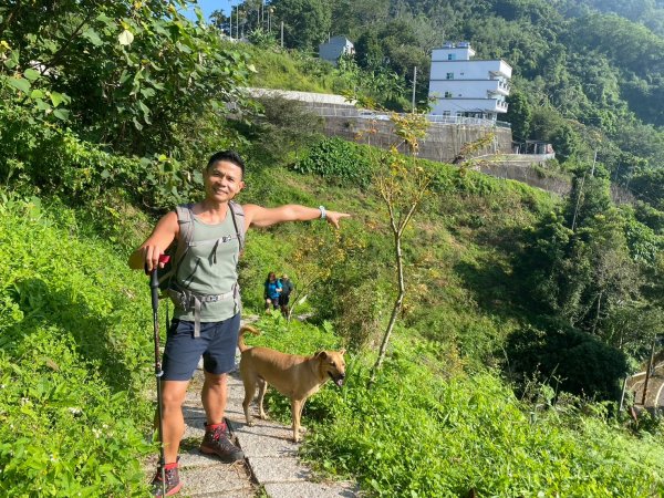 三寶山(烏心石山.鳩州嶺.尖凍山)步道【變成夢魘的大秘寶】2639879
