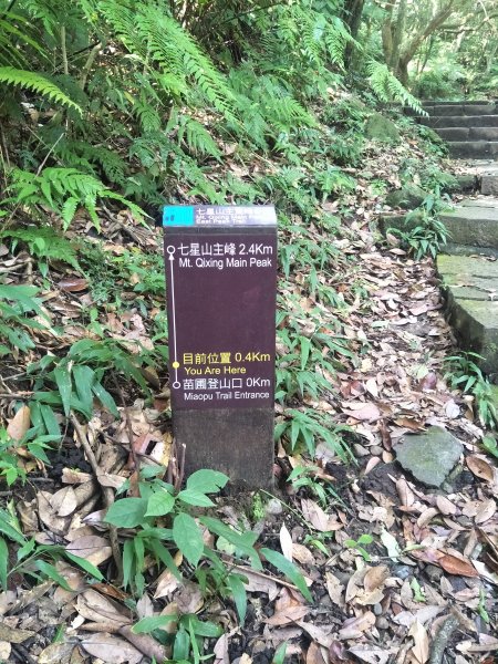 七星山主、東峰登山步道1682127