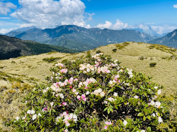 1110422南哈哈山-哈哈山-石門山北峰1684401