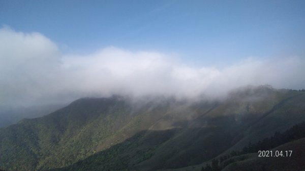 陽明山包場再見雲海04161351837