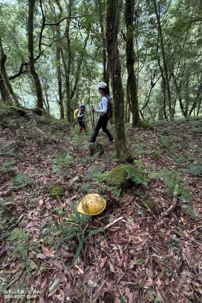 太平山三疊瀑布3095572