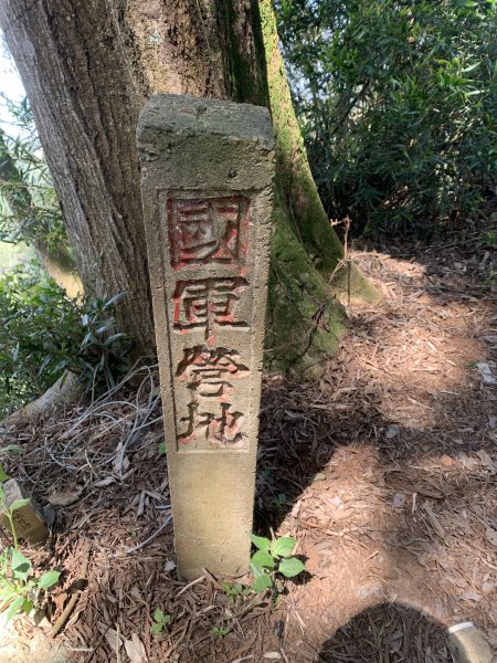 20250322南投松柏坑山-大棚山2745866