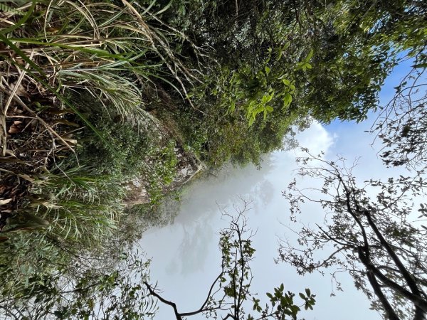 20251108_石壁山（雲林小百岳）2941453