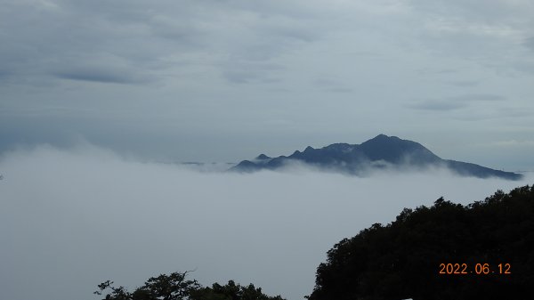 前天摔車受傷也要衝?! 陽明山雲海&天空之城&雲海中觀音1733373