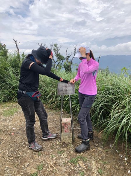 絕美抹茶山“聖母登山步道” 628986