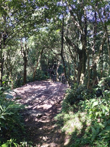 銀河-樟湖-鵝角格山-三玄宮山-指南路三段40巷--包種茶推廣中心-天恩宮-貓纜站-樟湖2543288