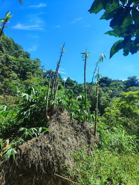 微笑山線五分山系菁桐-平溪-望古2881225