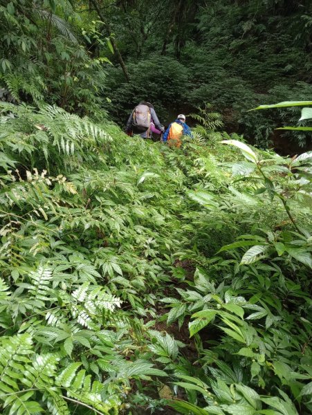 雷公埤山-鱷魚島觀景-小格頭獅頭山2001530