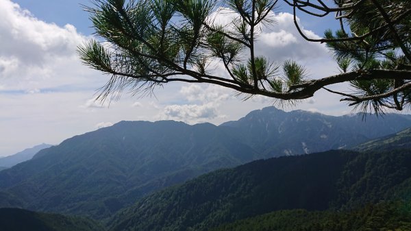 念念不忘合歡北峰1099261