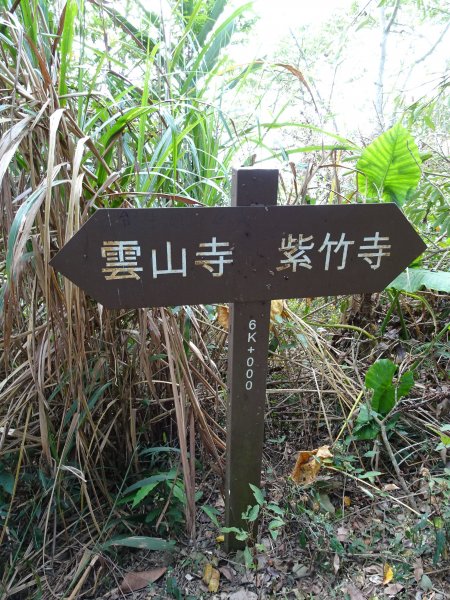 台南南化-刣牛湖山之三角點和厚德紫竹寺499359