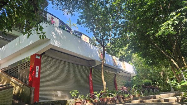 20250816劍潭山方舟森林-北眼平台-微風平台封面