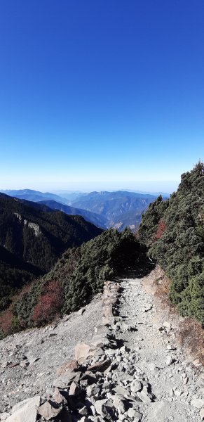 玉山前四峰之旅869558