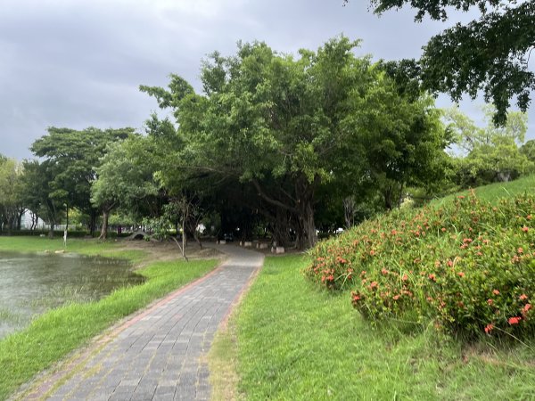[全臺走路趣尋寶-25/100] 2024_0706_南瀛綠都心公園2546364