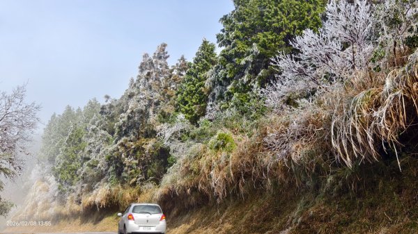 #霧淞 #雲海 #雲瀑 #霧虹 #太平山 #望洋山 #觀雲步道 #翠峰道路  2/82995362