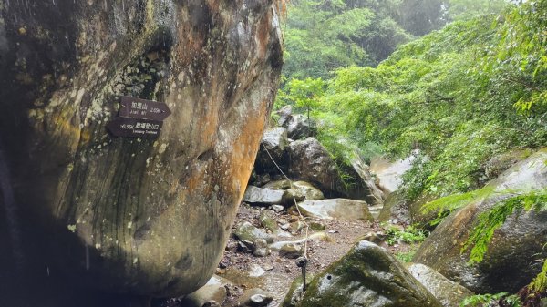 20230730 苗栗加里山午後雷陣雨篇（中級山小百岳）2235183