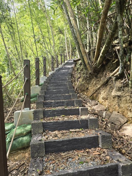 20260516 小百岳-南投後尖山3056220