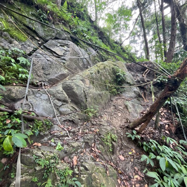 20250421_向天湖山步道（苗栗小百岳）2855805