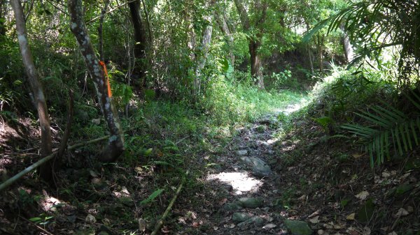 石空古道登山健行趣(淡蘭中路TK2-19)1521175