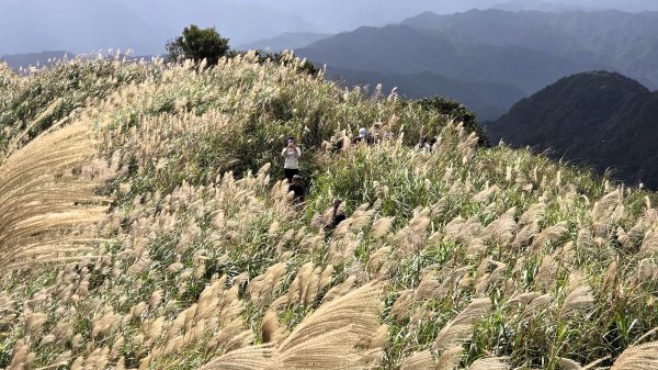 秋季品味古道與芒海的山行在猴硐牡丹山與金瓜石山2950977