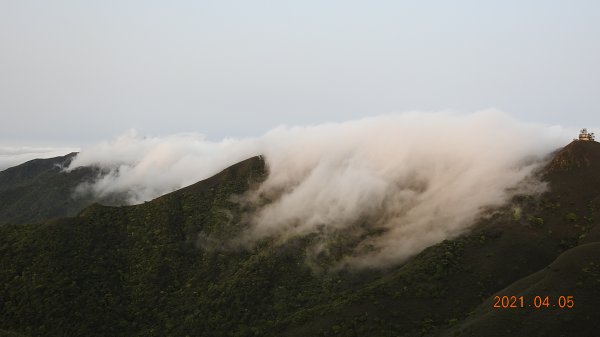 0405陽明山再見雲瀑，今年以來最滿意的一次1335481