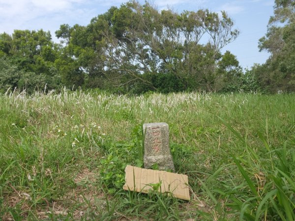 1140419龍港連走白沙屯(含好望角,牧羊古道,舊鐵道,海角樂園,山邊媽,白沙屯)2767295