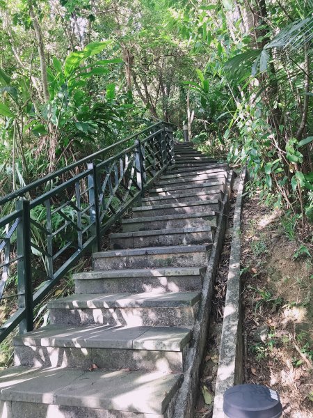 ~ 和美山步道 ~1085311