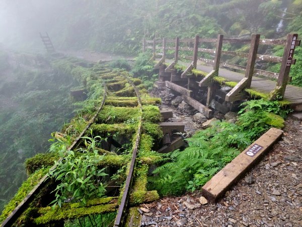 見晴懷古步道-(宜蘭)臺灣百大必訪步道封面