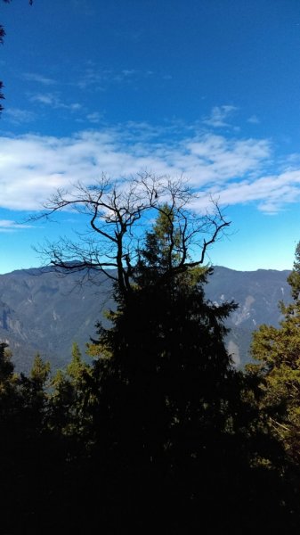 神代山，西北峰，神代神木，神代池O型走472573