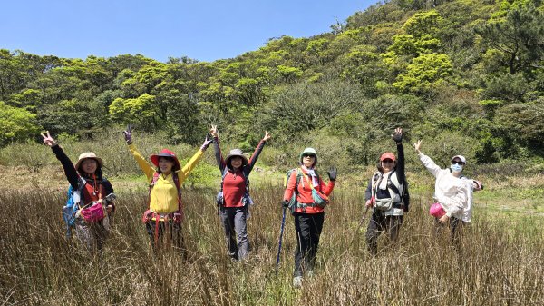 2025竹子湖海芋季美不勝收，最受歡迎的國家公園陽明山國家公園，親子皆宜，適合各式玩家2747611