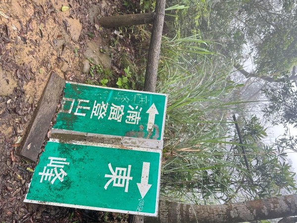 皇帝殿202603293035838