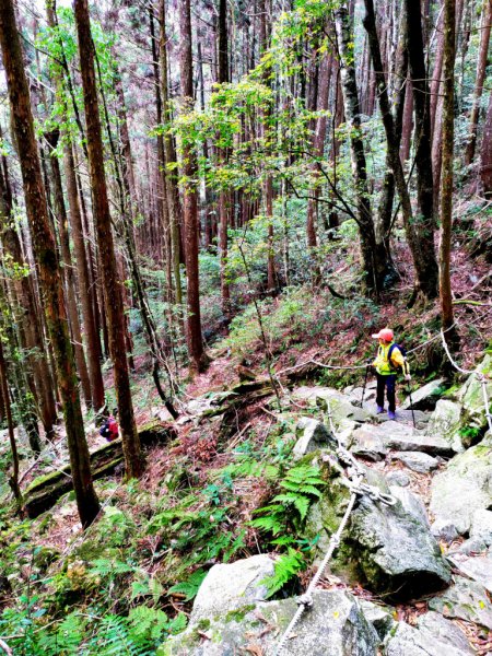 20200419橫嶺山沙蓮山小O型925393