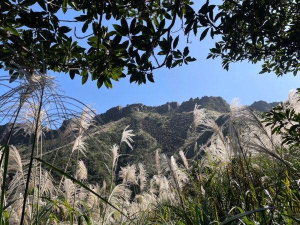 黃金博物館-一柱擎天-半平山-燦光寮山-地質公園-黃金神社-黃金博物館2363105