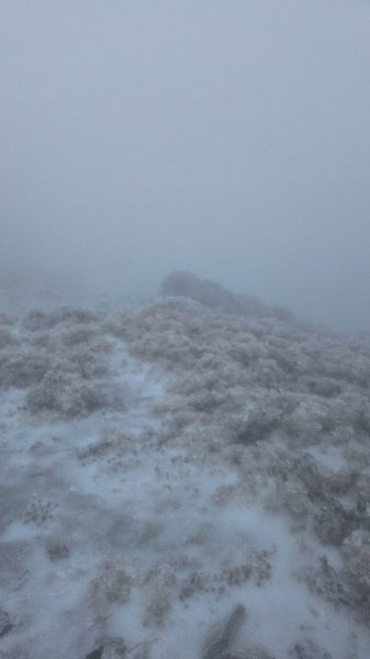 20250319～20嘉明湖國家步道🥶🥶🥶殘念😭2739759