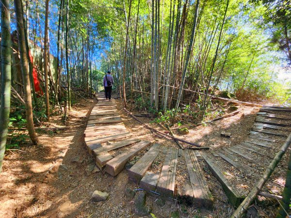 小百岳集起來-雲嘉大尖山2182906