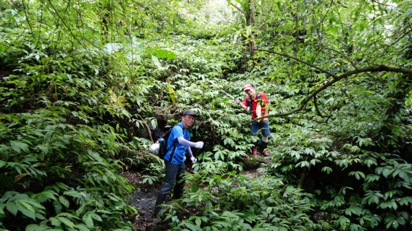 百年坪頂古圳與北五指山之草原驚艷45760