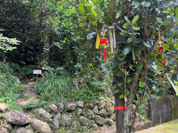 新北 瑞芳 無言的山丘2788494