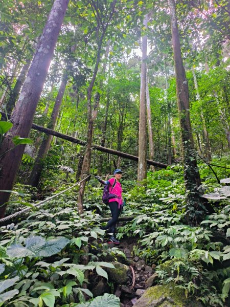 1120910 小東河上光天高山O型一圈2277626