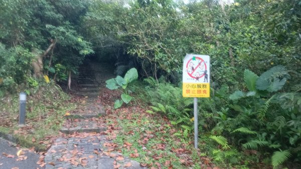 仁山植物園1747598