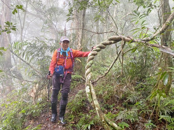 霧雨濛濛南橫玉穗山行 2021181233434