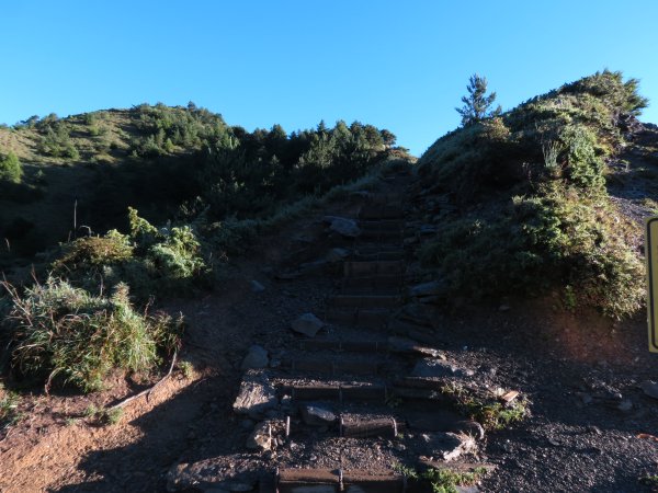 113.7.30合歡山西峰+北峰(一日單攻)凱米颱風後2562263